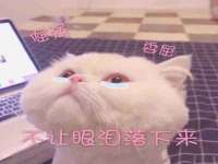 淮安茂渺广告传媒有限公司