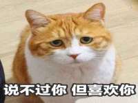 淮安茂渺广告传媒有限公司