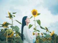 淮安茂渺广告传媒有限公司