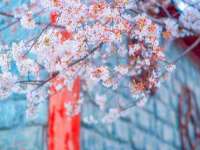 淮安茂渺广告传媒有限公司