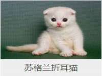 淮安茂渺广告传媒有限公司