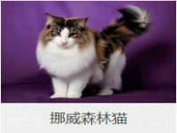 淮安茂渺广告传媒有限公司
