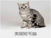 淮安茂渺广告传媒有限公司