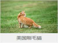 淮安茂渺广告传媒有限公司