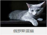 淮安茂渺广告传媒有限公司