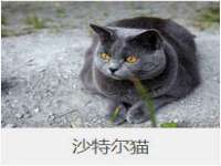 淮安茂渺广告传媒有限公司