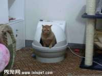 淮安茂渺广告传媒有限公司