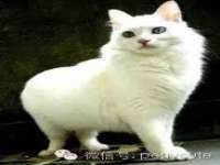 淮安茂渺广告传媒有限公司