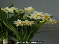淮安茂渺广告传媒有限公司