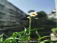 淮安茂渺广告传媒有限公司
