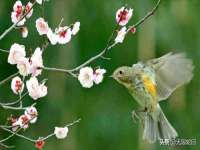淮安茂渺广告传媒有限公司