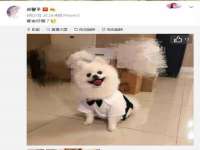 淮安茂渺广告传媒有限公司
