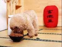 淮安茂渺广告传媒有限公司