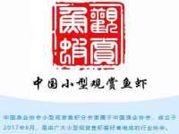 淮安茂渺广告传媒有限公司