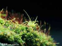 淮安茂渺广告传媒有限公司