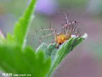 淮安茂渺广告传媒有限公司