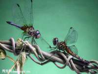 淮安茂渺广告传媒有限公司