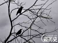 淮安茂渺广告传媒有限公司