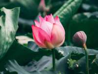 淮安茂渺广告传媒有限公司