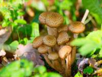 淮安茂渺广告传媒有限公司