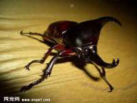 淮安茂渺广告传媒有限公司