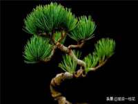 淮安茂渺广告传媒有限公司