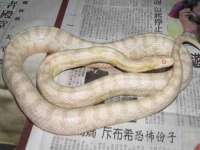 淮安茂渺广告传媒有限公司